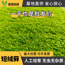 ̽q\ r̦\Ƥ̦΢^GֲֲС辰̦\쾰