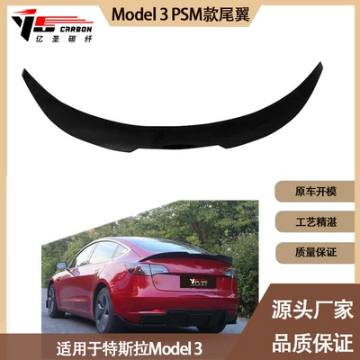 Model 3 PSM model – Fixed wind wing