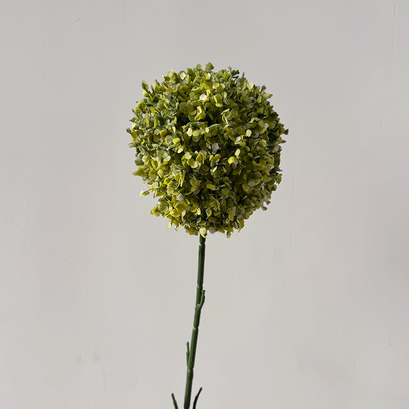 다채로운 롤리팝-그린