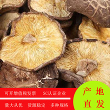 ���ô��㹽���_��ȱ��ԭ���㹽�ɺ��㹽���������W�����l500g
