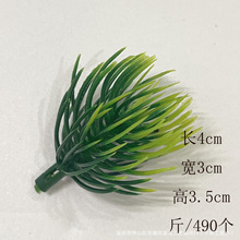 ����ֲ��4����ӭ��������ֲ�����ˮ��������ϲ���ˮ�ݷ���ֲ��