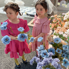 跨境女寶寶荷葉領可愛連衣裙韓國夏季新品小女孩甜美公主裙