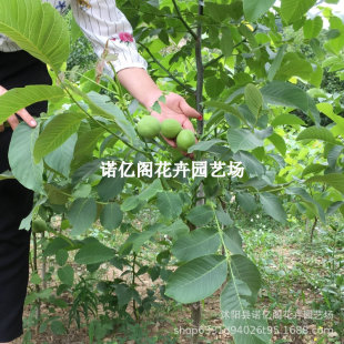 ������8518�޽����ش�Ƥ���Ҙ����ϱ����ļ��Nֲ�����箔��Y��