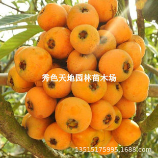 ��Ʒ�N��������������ش�޽����˘�����Ĵ�����o���������ϱ�