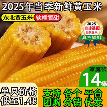 ���ږ|���SŴ���״ּZ�������r�S���������Ŵ���װ���հ��b����