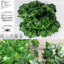 �����ٗl��ɽ����ӡ�ع��~��ֲ���}�Q�f�}�����G���Q���R�d81