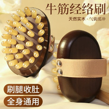 经络刷经络按摩刷带脉揉腹部刷全身疏通肝胆按摩梳经络刷肚子神器