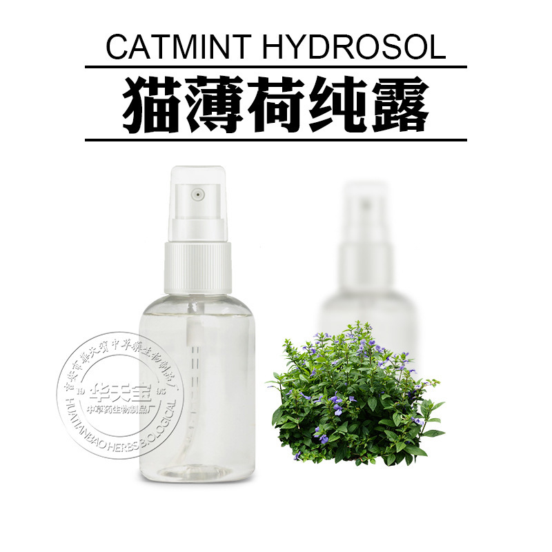 キャットニップ純露 蒸留抽出天然キャットニップエキス 初回抽出飽和花水原料メーカー卸売|undefined