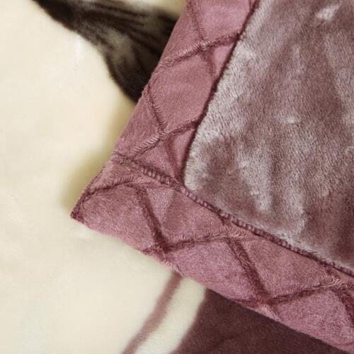 Winter Double Layer Thick Plush Shag Rugs Wedding Cover Blanket Autumn/Winter Fleece Blanket Coral Fleece Blanket Single/Double Air Conditioner Blanket