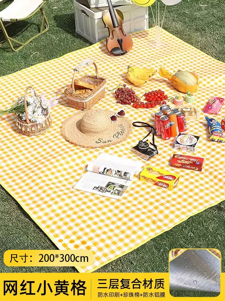 인터넷 연예인/노란색 격자/두껍고 무해함 200*300 *2.5mm [11명이 앉을 수 있으며 무료 보관 가방]