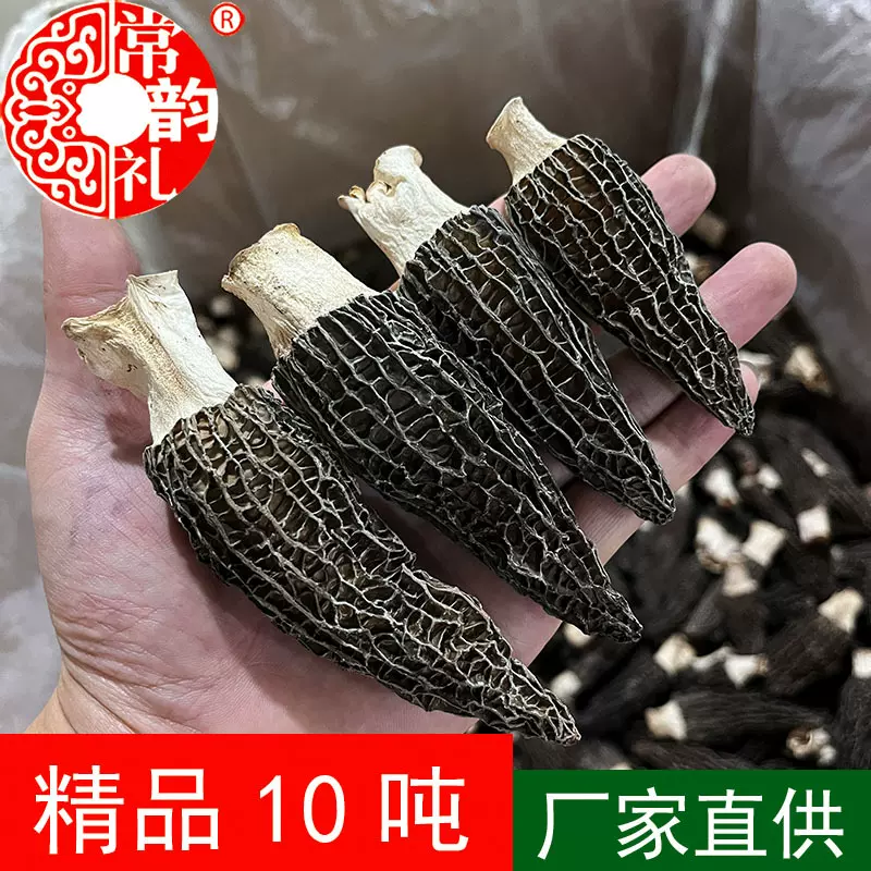 果福得自有基地羊肚菌500克干货批发羊肚菌野生菌产地基地大量
