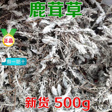 ¹�ײ���ș������˪ ǧ�갬 ǧ���� ������ �׵����100����؛