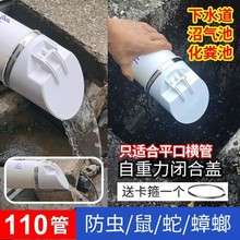 110pvc管道止逆阀排水管防臭阀化粪池排污止回阀160下水道防鼠75
