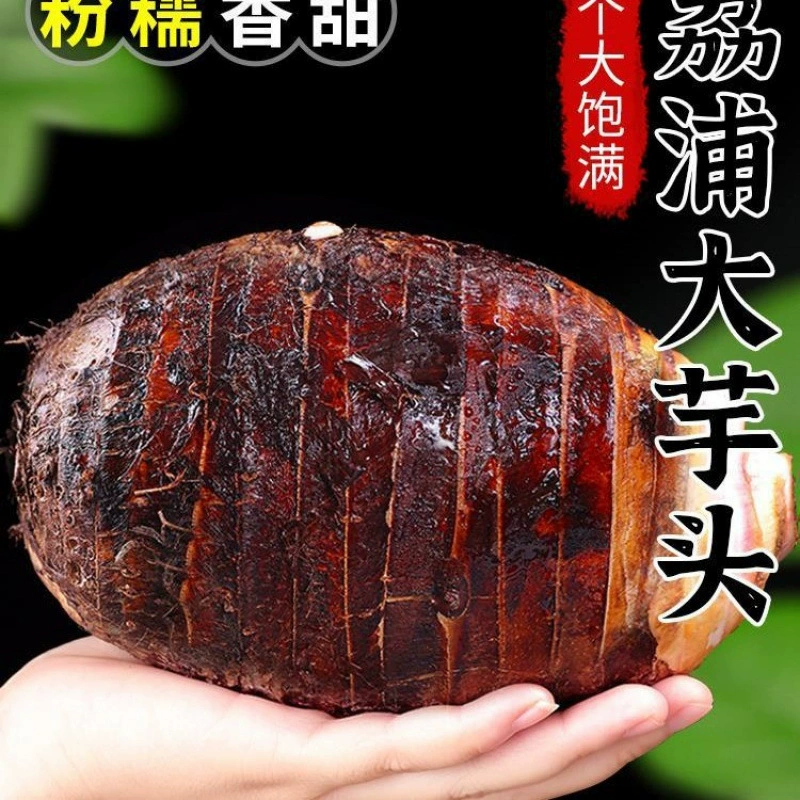Свежий крупный таро из Лиучжоу, Гуанси 4.5kg фермерский фиолетовый таро, ароматный таро, овощ с бесплатной доставкой 10