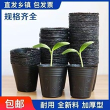 �I�B�����籭һ���Ժ�ɫ�I�B���������̖���Nֲ����������I�B��