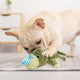 Pet plush sound toy corn down multicolor optional molars bite-resistant dog cat supplies manufacturers wholesale