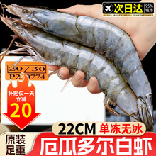 ��϶ࠖ���r���r�r���ك��}��2030�������r�����r���r���r��r