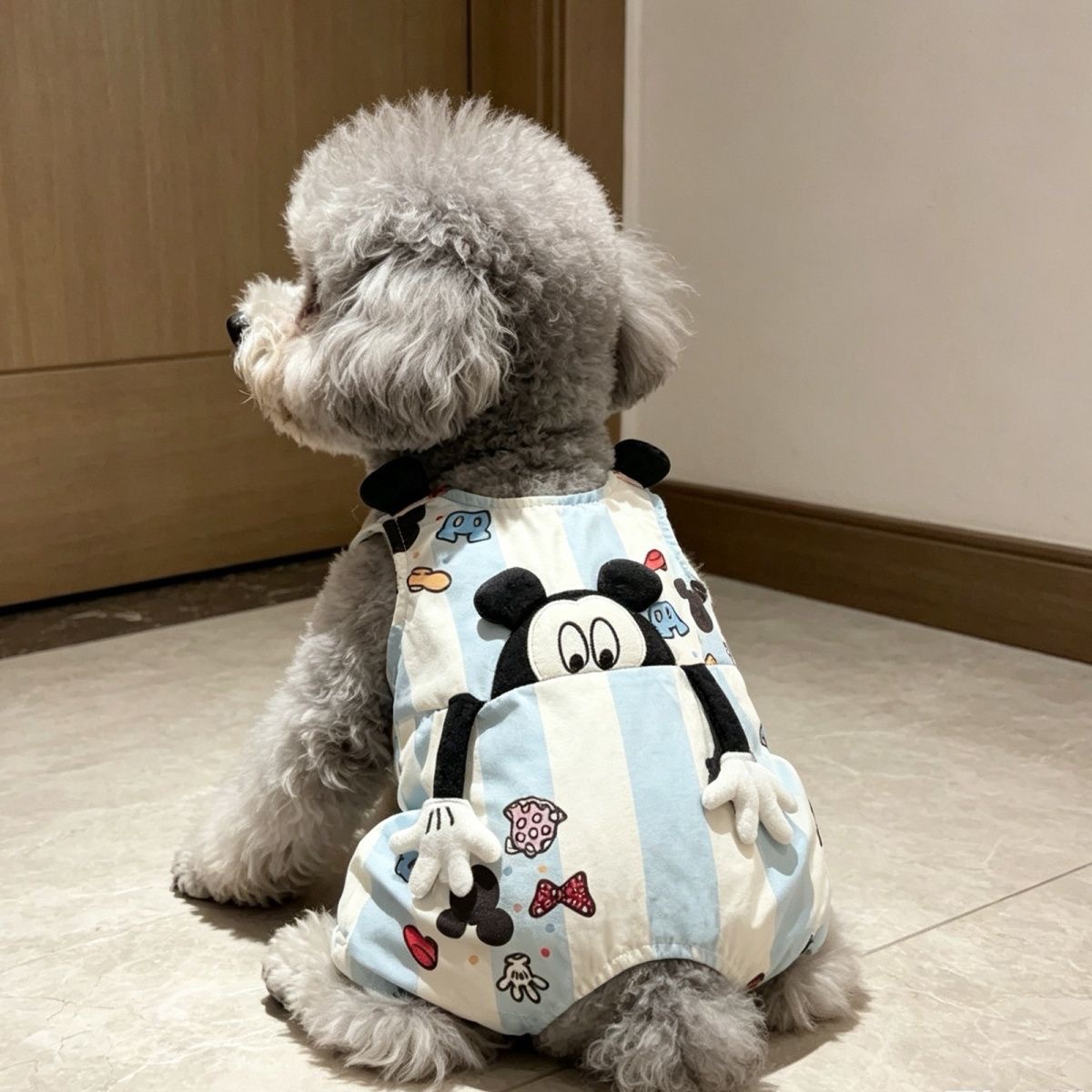 商品图