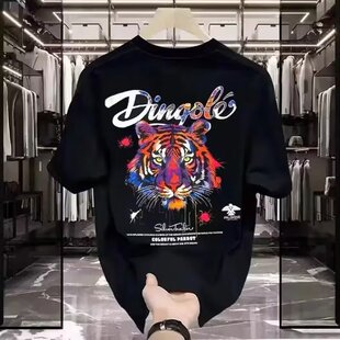 �������L�ϻ��^�D������t����ʿ2025�¿��ļ������ٴ�ް���T��