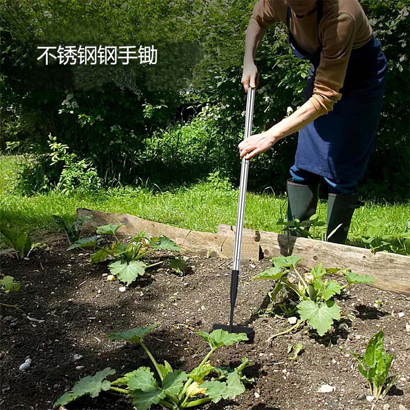 O1CN01FSWj8q1kAXsTXgYey_!!9836