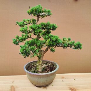 ���T�_�h���辰�����҃�ͥԺ�Gֲ�ļ�������B�ͻ����ڸߙnȸ��