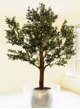 北歐風仿真橄欖樹實木桿橄欖樹室內外軟裝橄欖枝塑料盆栽