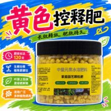 家庭园艺控释肥料多肉专用型长效氮磷钾控释营养肥料绿植通用肥