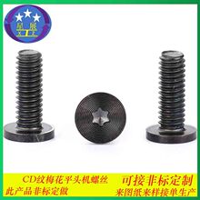 316 304���P䓷��I÷����ƽ�A�^��ƽ�^��ƽ�^CD�y�ݽz�����˨