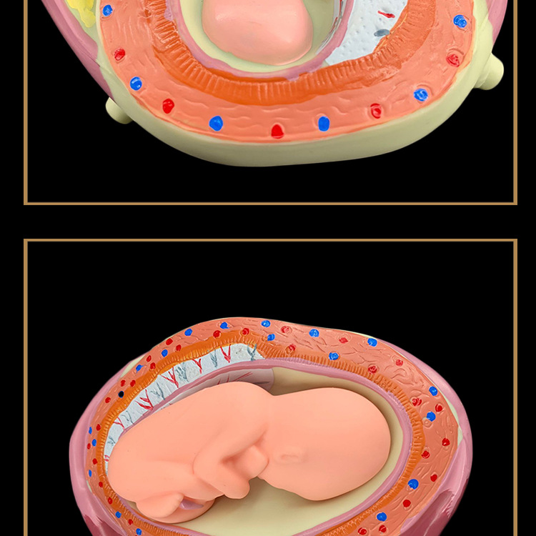 O1CN01H6LPay2Kk6XnMe6dl_!!3578