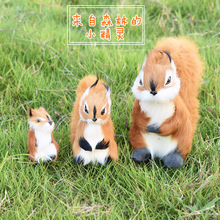仿真松鼠小松鼠动物模型标本毛绒玩具模型玩偶摆件摄影道具礼物