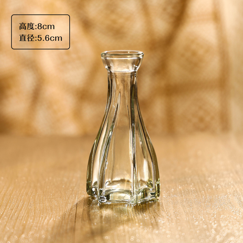 亚马逊同款迷你玻璃花瓶 ins风透明摆件插花中古高级感小花瓶套装|undefined
