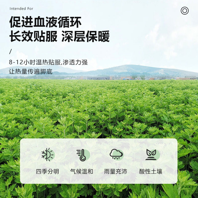 艾草発熱靴マット自熱無充電加熱靴マットは歩くことができます。|undefined