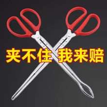 �������q�������r���~�зץ�s��׽�A���Q���X�~�S�X���Q