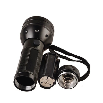 Curing Flashlight, UV fənərlər