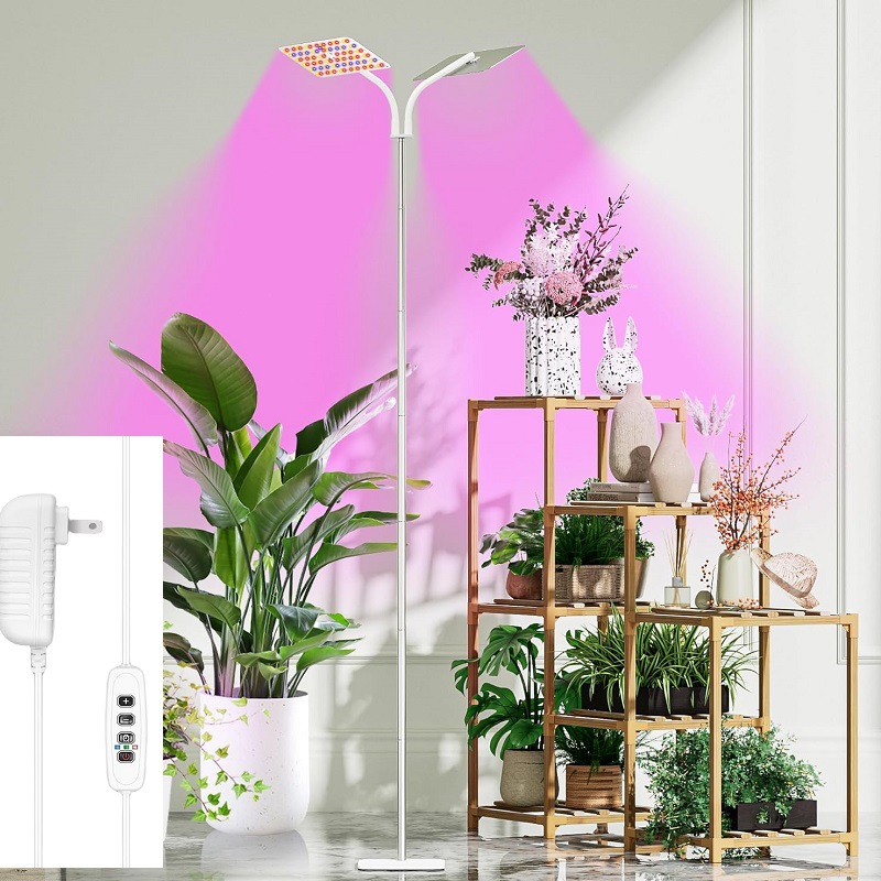 81wDvWHedoL._AC_SL1500_