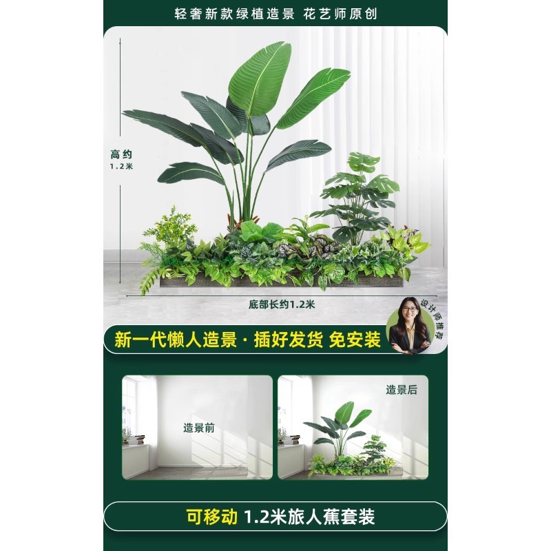 仿真绿植造景组合橱窗装饰假植物景观造景庭院布置玄关室内氛围树|undefined