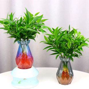 ������ˮ��ֲ���҃�ˮ�B�Gֲ���������k���������ļ�����ݺ��B