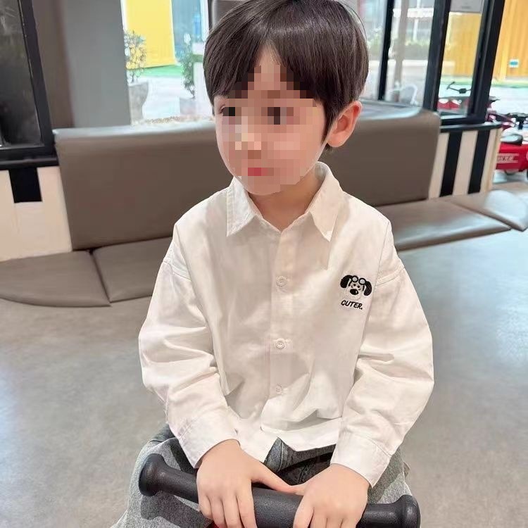 Camisas de mangas largas de algodón para niños bordados de estilo extranjero versátiles 2025 otoño primavera y otoño camisa blanca con solapa