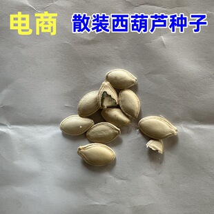 Wholesale E-Commerce Supplier of Zucchini Vegetable Seeds in Bulk Small Packages Small Melon Design Balcony Planting Candy Bags