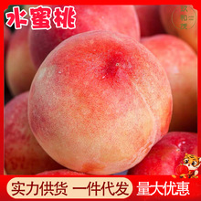 正宗现摘露天毛桃5斤整箱新鲜应季孕妇水果10批发包邮3当季水蜜桃