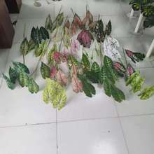 ��c����Gֲ3������~ �����~ֲ���b�������Կ͏d�b��~�쾰