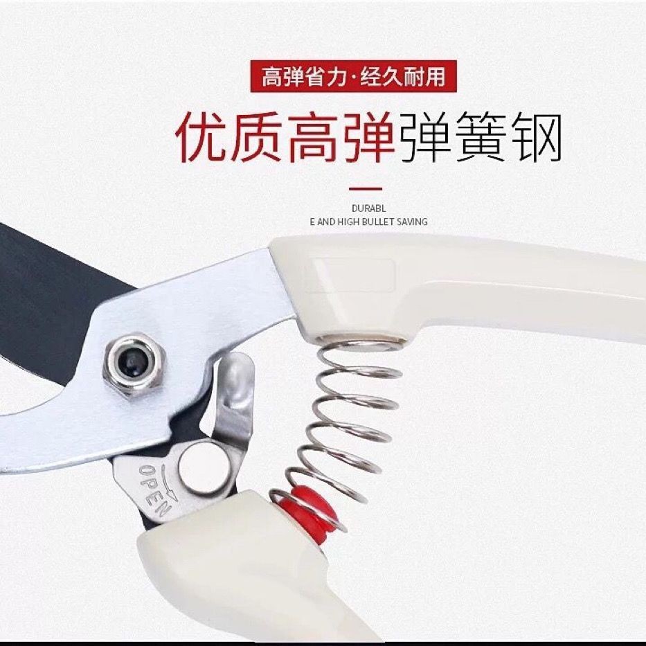 130特氟龙刀 省力修枝剪园林剪刀果枝剪园艺工具 果树剪 粗枝剪
