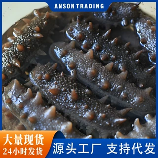 海参厂家批发鲜活大连即食海参鲜食批发零售海鲜厂家商用家