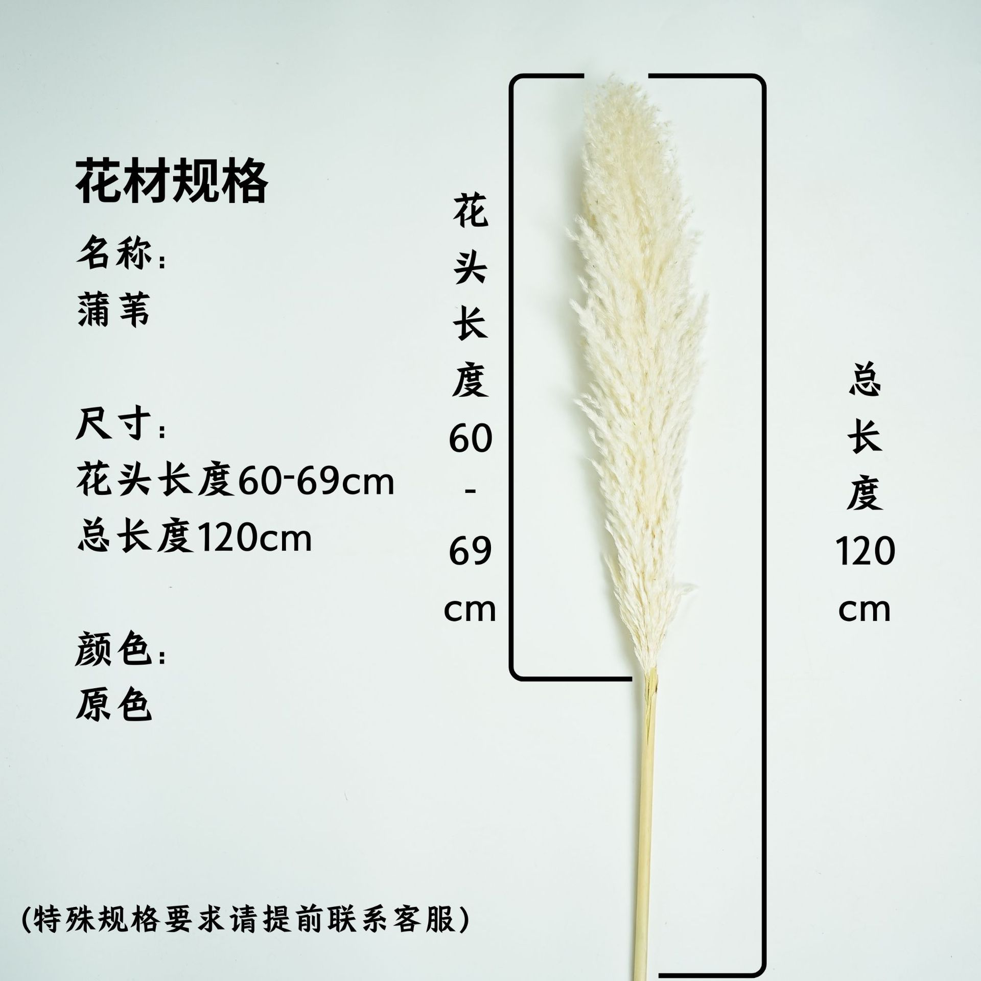 꽃머리 60~69cm 오리지널 컬러 대외 무역 품질 (깃털이 거의 날지 않음)
