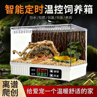 ����ؿؼӟ�a������B������޽Ǳ��y��β�،m�����֩���쾰��