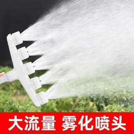 多头喷枪塑料加厚型3头喷枪4头5头浇花浇菜雾化喷头