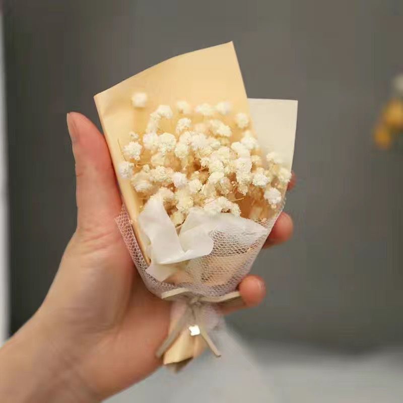 ■●화이트 스타 미니●■