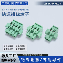2YEKAM-5.08mm带耳接线端子侧面直立插拔式焊PCB板铜环保连接器
