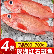 �tʯ���~�r�������t�~�����~��S���~�ك����rˮ�a�|�~���K�~