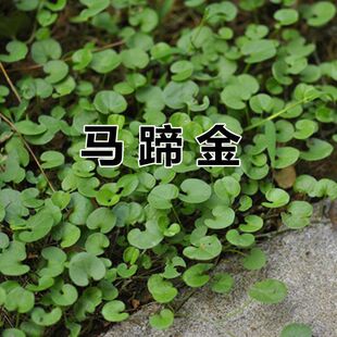 �����R���N�ӽ��X�ݴ��������~�X���S���m����������o�²�ƺ